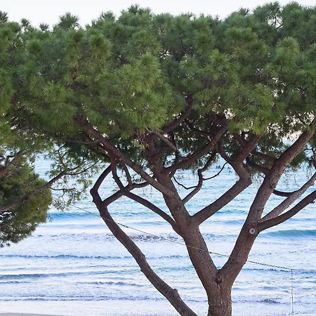 Acquamarina אלסיו